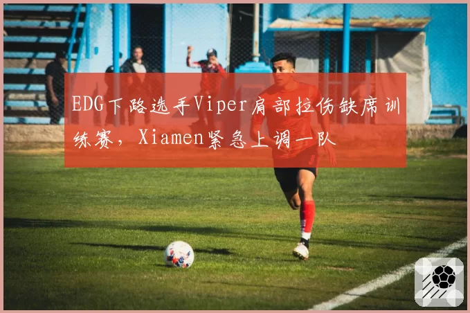 EDG下路选手Viper肩部拉伤缺席训练赛，Xiamen紧急上调一队