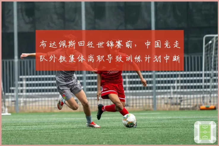 布达佩斯田径世锦赛前,中国竞走队外教集体离职导致训练计划中断