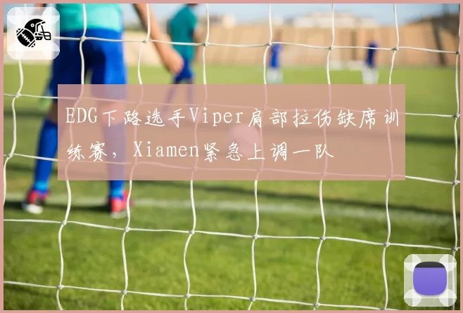 EDG下路选手Viper肩部拉伤缺席训练赛，Xiamen紧急上调一队